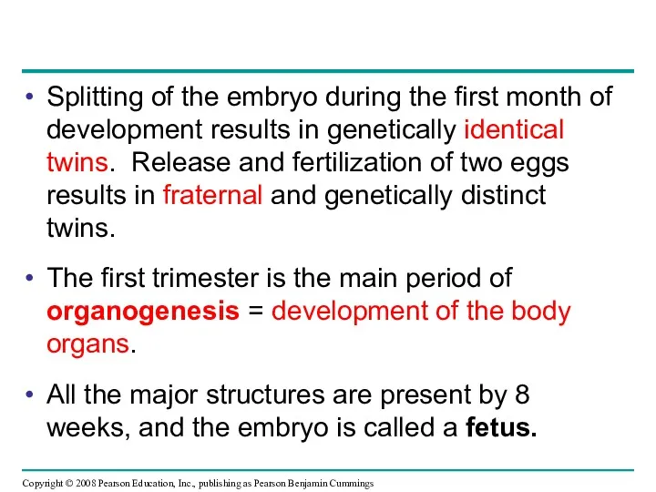 Splitting of the embryo during the first month of development