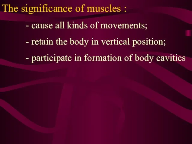 The significance of muscles : - сause all kinds of