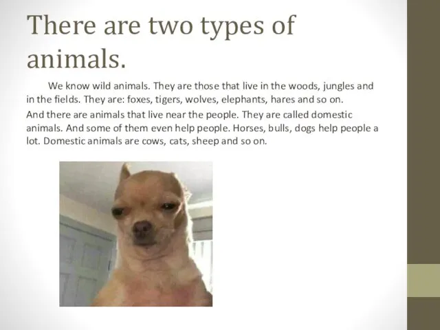 There are two types of animals. We know wild animals. They are those