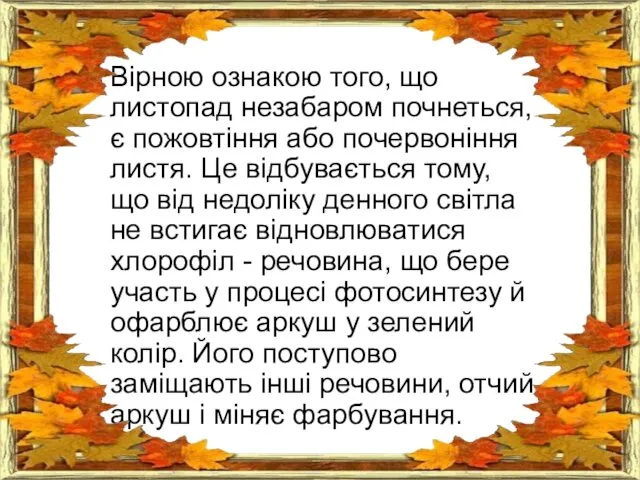 Вірною ознакою того, що листопад незабаром почнеться, є пожовтіння або