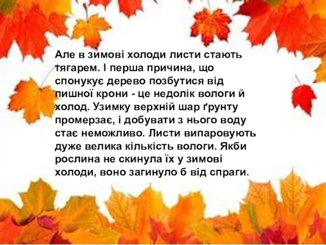 Але в зимові холоди листи стають тягарем. І перша причина,