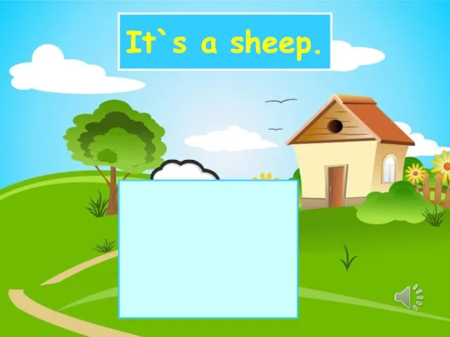 It`s a sheep.