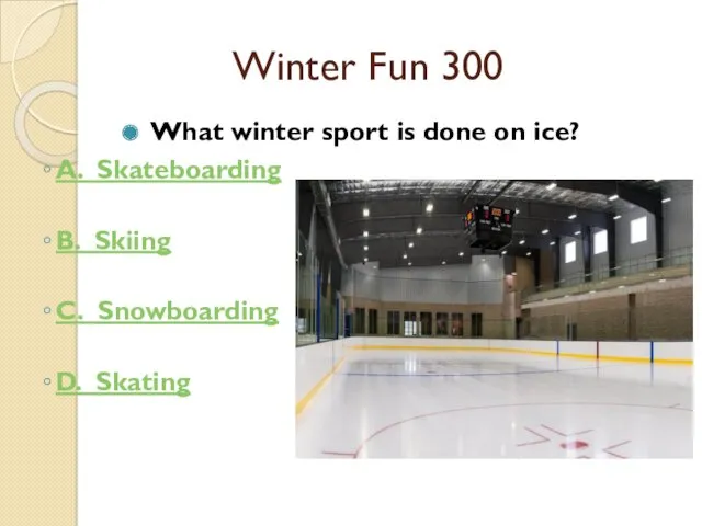 Winter Fun 300 What winter sport is done on ice?