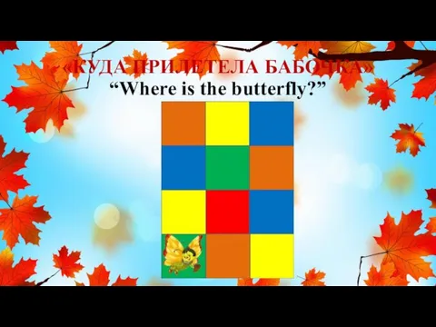 «КУДА ПРИЛЕТЕЛА БАБОЧКА» “Where is the butterfly?”