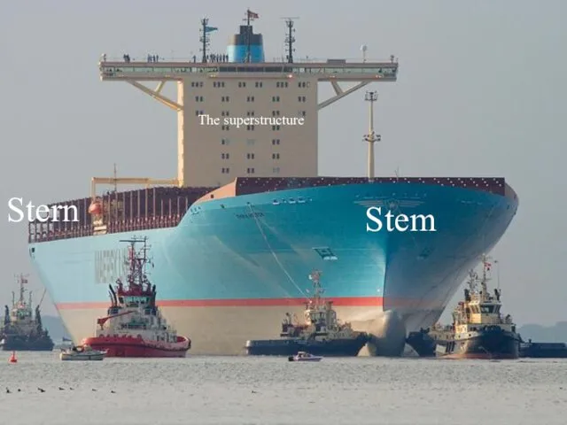 Stern Stem The superstructure