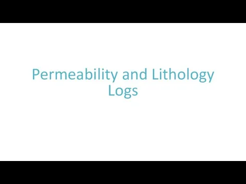 Permeability and Lithology Logs