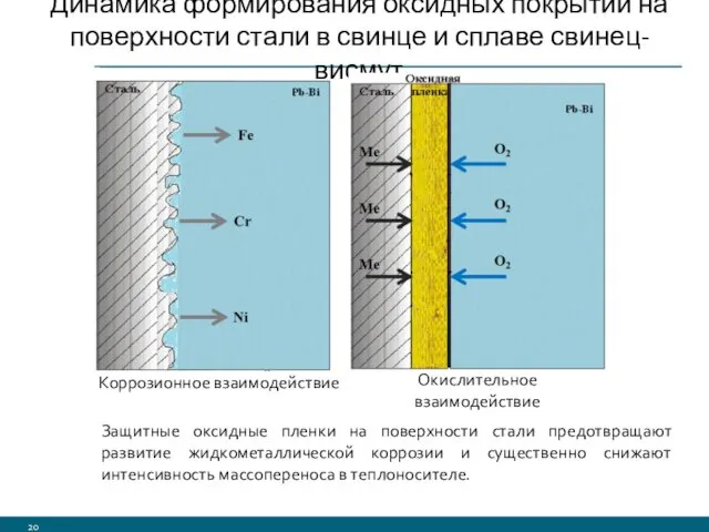 Динамика формирования оксидных покрытий на поверхности стали в свинце и