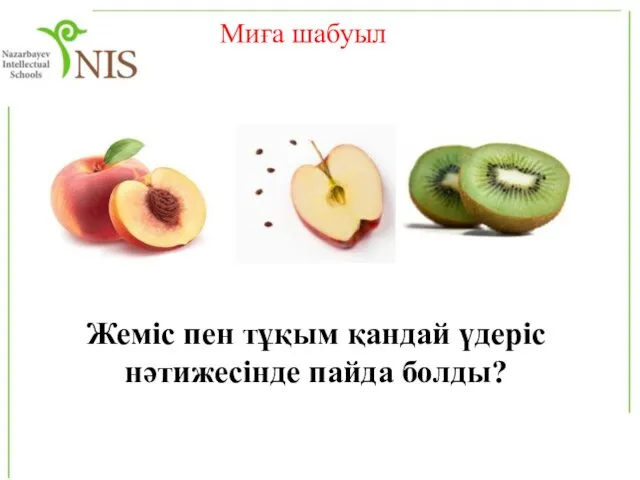 Миға шабуыл Жеміс пен тұқым қандай үдеріс нәтижесінде пайда болды?