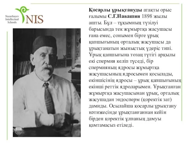 Қосарлы ұрықтануды атақты орыс ғалымы С.Г.Навашин 1898 жылы ашты. Бұл