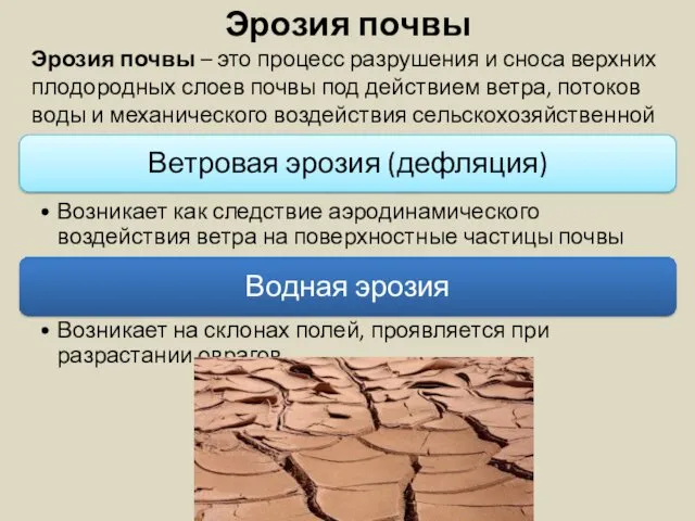 Эрозия почвы Эрозия почвы – это процесс разрушения и сноса верхних плодородных слоев