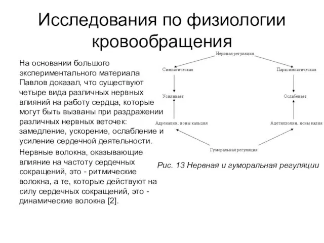 Исследования по физиологии кровообращения На основании большого экспериментального материала Павлов