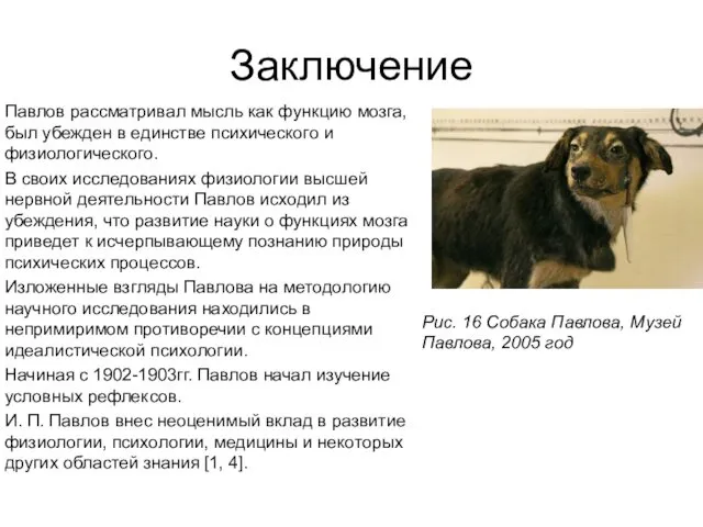 Заключение Павлов рассматривал мысль как функцию мозга, был убежден в