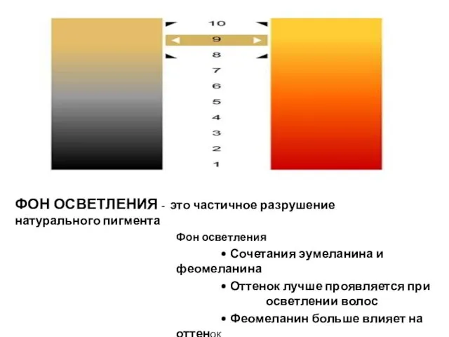 Фон осветления • Сочетания эумеланина и феомеланина • Оттенок лучше