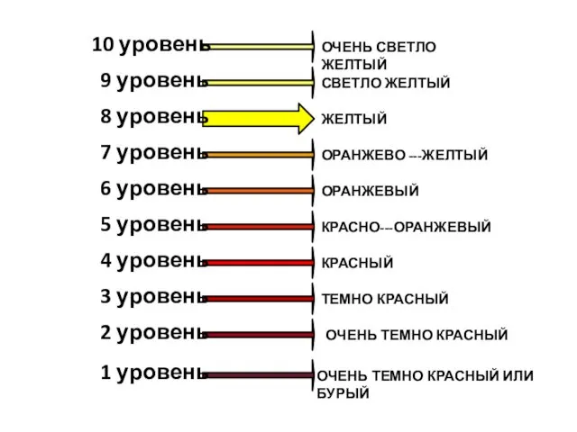 10 уровень 9 уровень 8 уровень 7 уровень 6 уровень