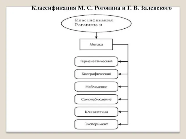 Классификация М. С. Роговина и Г. В. Залевского