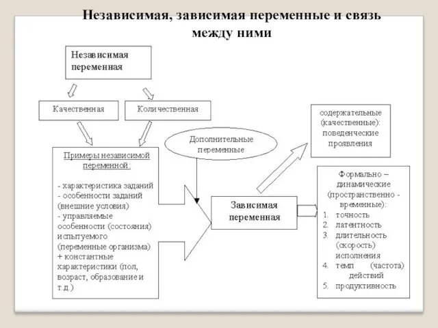 Независимая, зависимая переменные и связь между ними