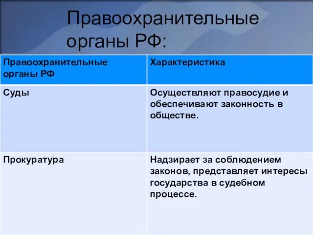 Правоохранительные органы РФ: