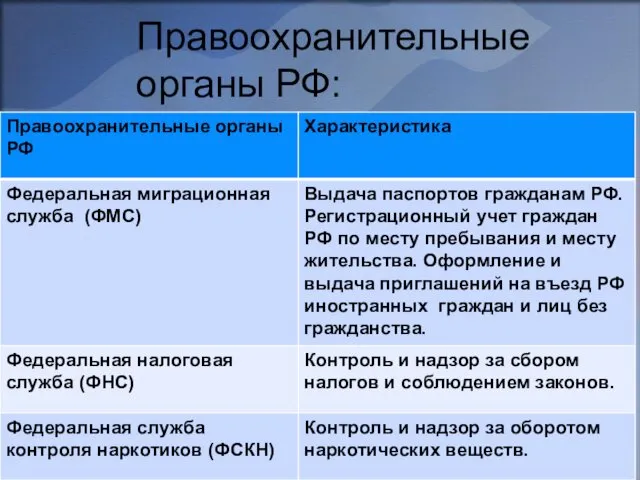 Правоохранительные органы РФ: