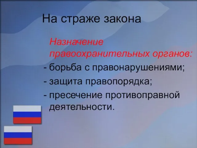 На страже закона Назначение правоохранительных органов: борьба с правонарушениями; защита правопорядка; пресечение противоправной деятельности.