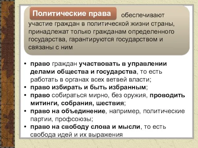 обеспечивают участие граждан в политической жизни страны, принадлежат только гражданам