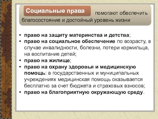 помогают обеспечить благосостояние и достойный уровень жизни Социальные права право