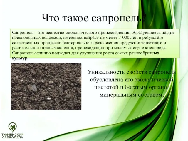 Что такое сапропель? Сапропель – это вещество биологического происхождения, образующееся