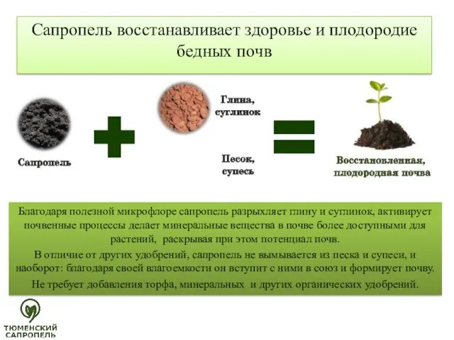 Сапропель восстанавливает здоровье и плодородие бедных почв Благодаря полезной микрофлоре