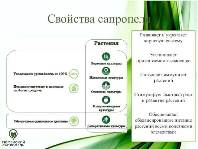 Свойства сапропеля Развивает и укрепляет корневую систему Увеличивает приживаемость саженцев