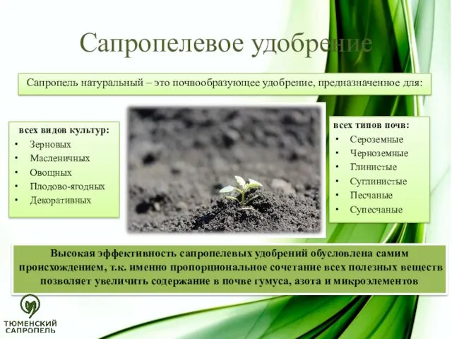Сапропель натуральный – это почвообразующее удобрение, предназначенное для: Сапропелевое удобрение