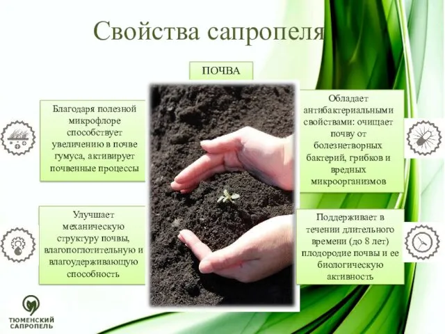 ПОЧВА Свойства сапропеля Благодаря полезной микрофлоре способствует увеличению в почве