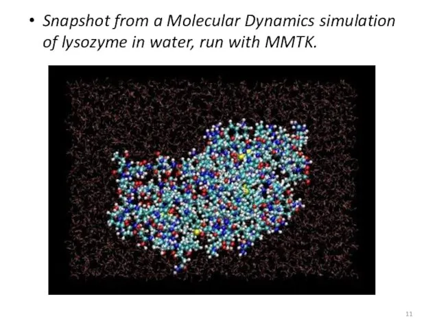 Snapshot from a Molecular Dynamics simulation of lysozyme in water, run with MMTK.