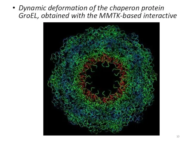 Dynamic deformation of the chaperon protein GroEL, obtained with the MMTK-based interactive