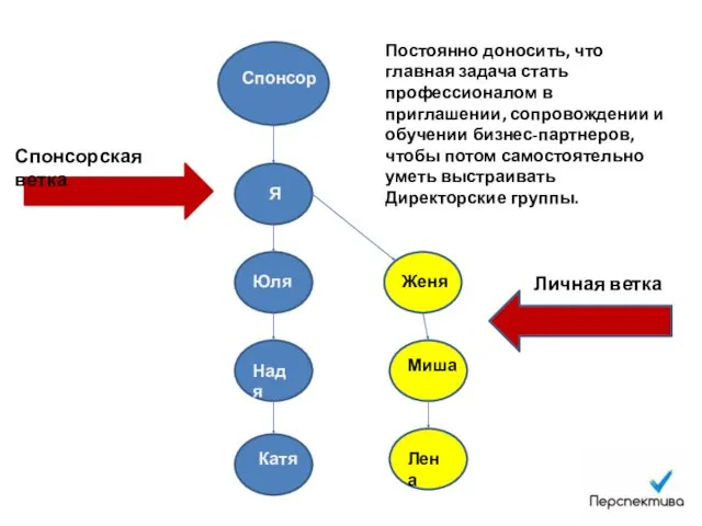 Спонсорская ветка Личная ветка Спонсор Я Юля Надя Катя Женя