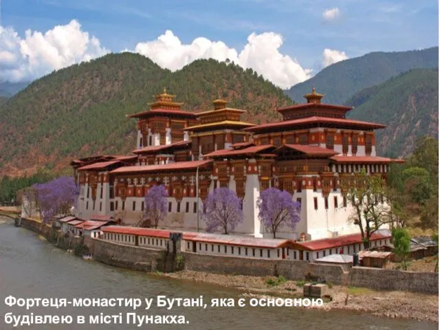 Фортеця-монастир у Бутані, яка є основною будівлею в місті Пунакха.