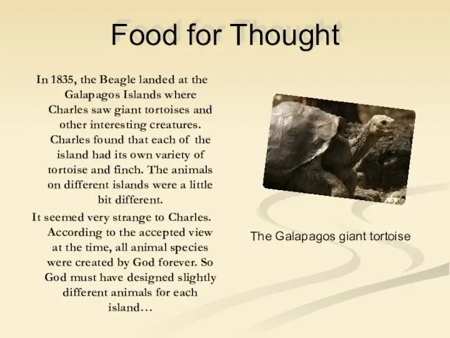 Food for Thought In 1835, the Beagle landed at the Galapagos Islands where
