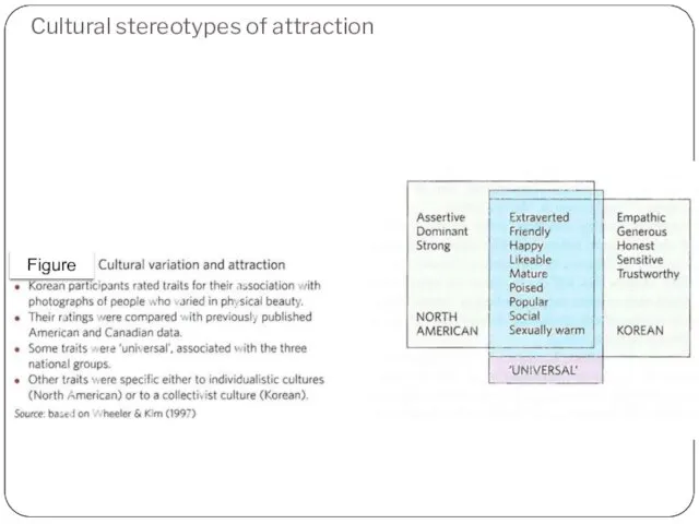 Cultural stereotypes of attraction Figure