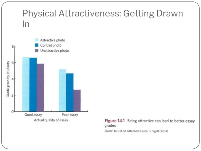 Physical Attractiveness: Getting Drawn In