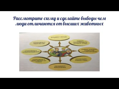 Рассмотрите схему и сделайте выводы чем люди отличаются от высших животных
