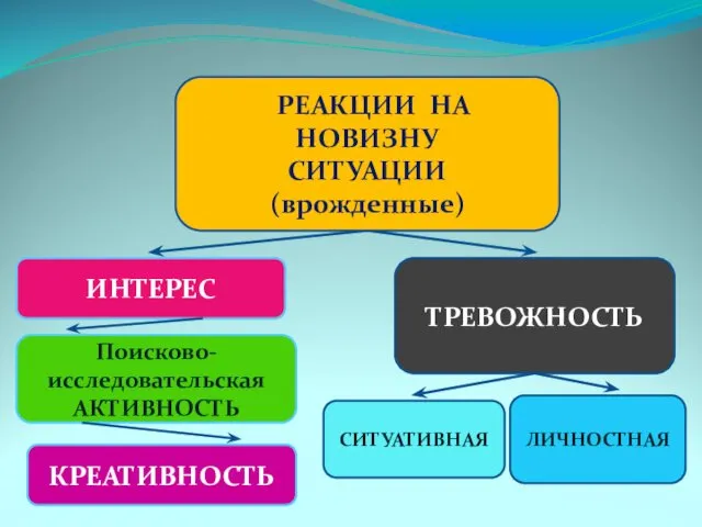 ИНТЕРЕС ТРЕВОЖНОСТЬ РЕАКЦИИ НА НОВИЗНУ СИТУАЦИИ (врожденные) ЛИЧНОСТНАЯ СИТУАТИВНАЯ Поисково- исследовательская АКТИВНОСТЬ КРЕАТИВНОСТЬ