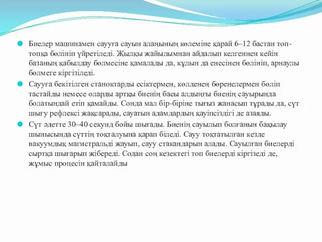 Биелер машинамен саууға сауын алаңының көлеміне қарай 6–12 бастан топ-топқа