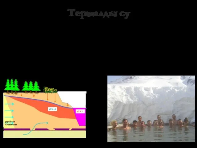 Термалды су Термалды су - табиғи жағдайлардағы температурасы 20°C-тен жоғары