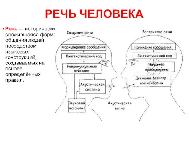 РЕЧЬ ЧЕЛОВЕКА Речь — исторически сложившаяся форма общения людей посредством