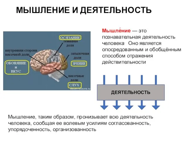 МЫШЛЕНИЕ И ДЕЯТЕЛЬНОСТЬ Мышление, таким образом, пронизывает всю деятельность человека,