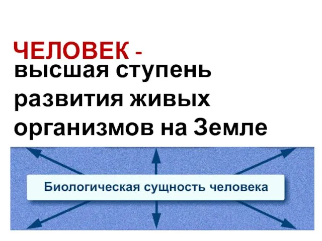 ЧЕЛОВЕК - высшая ступень развития живых организмов на Земле