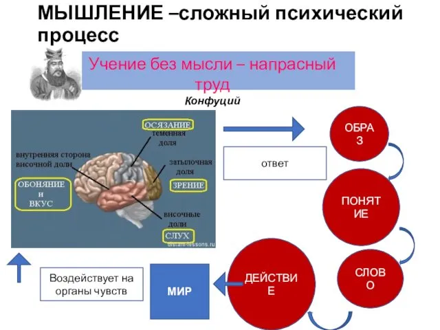 МЫШЛЕНИЕ –сложный психический процесс Учение без мысли – напрасный труд