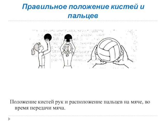 Правильное положение кистей и пальцев Положение кистей рук и расположение