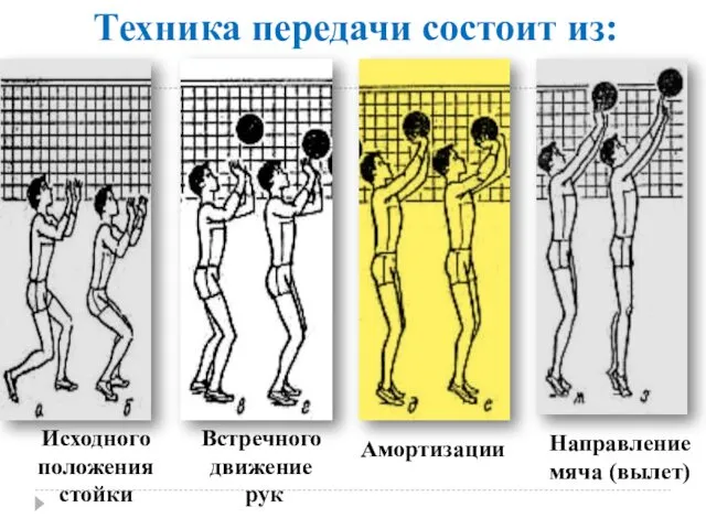 Исходного положения стойки Встречного движение рук Амортизации Направление мяча (вылет) Техника передачи состоит из: