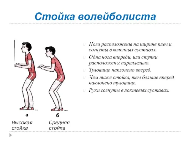 Стойка волейболиста Ноги расположены на ширине плеч и согнуты в