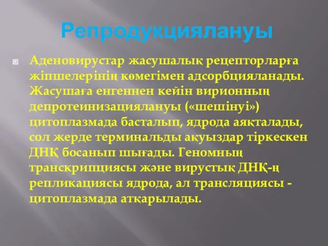 Репродукциялануы Аденовирустар жасушалық рецепторларға жіпшелерінің көмегімен адсорбцияланады. Жасушаға енгеннен кейін