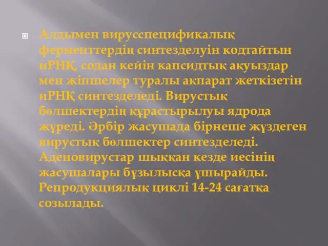 Алдымен вирусспецификалық ферменттердің синтезделуін кодтайтын иРНҚ, содан кейін капсидтық ақуыздар